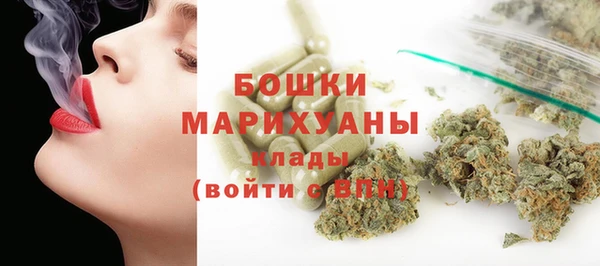 прущие грибы Протвино