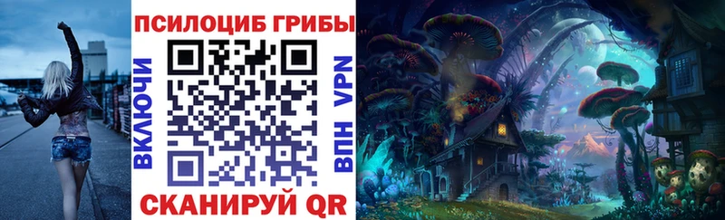 Псилоцибиновые грибы Psilocybe  сайты даркнета телеграм  Балашов 