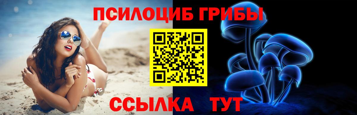 Балашов  Галлюциногенные грибы мухоморы  Вход с VPN 