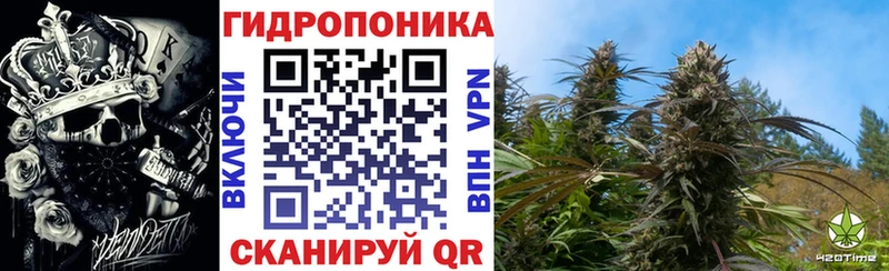 Конопля марихуана  ОМГ ОМГ ссылки  Балашов 